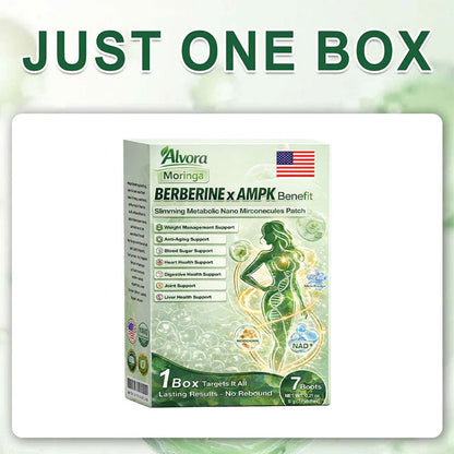🔥Vilnexa™ Moringa × AMPK 8-Benefit Slimming & Metabolic Nano Microneedle Patch 🇺🇸  Just once a day · Visible changes in 7 days