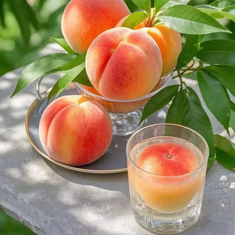 🍑 Peach Plant Kit | Sweet & Juicy Fruit for Your Home Orchard 🏡