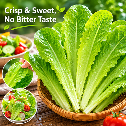 Grow once, harvest for months! The ultimate cut-and-come-again veggie! ⚡
