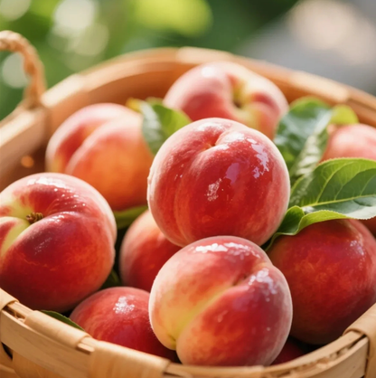🍃 Purely Natural: The 13-Piece Heirloom Fruit Collection (Non-GMO) 🌳