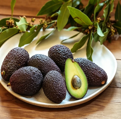 🍃 Purely Natural: The 13-Piece Heirloom Fruit Collection (Non-GMO) 🌳