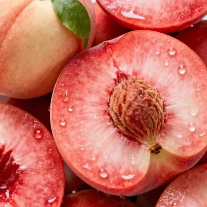🍑 Peach Plant Kit | Sweet & Juicy Fruit for Your Home Orchard 🏡